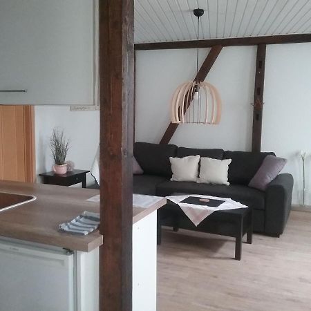 Altstadt-Apartment 佩特尔斯哈根 外观 照片