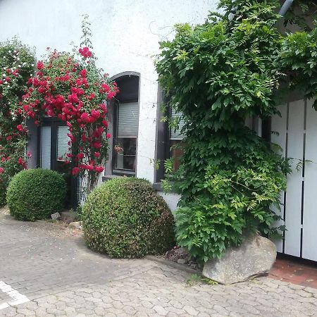 Altstadt-Apartment 佩特尔斯哈根 外观 照片