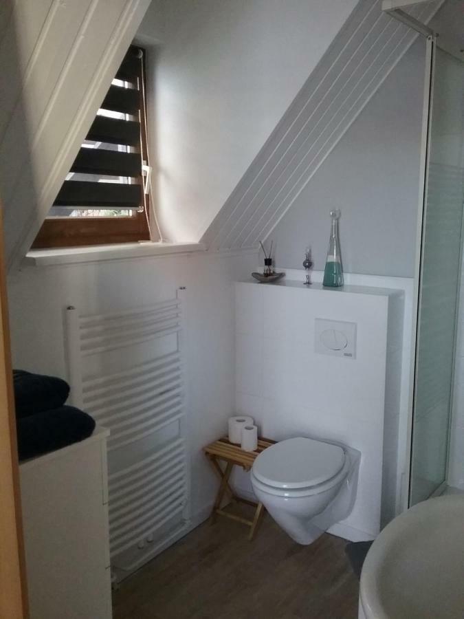 Altstadt-Apartment 佩特尔斯哈根 外观 照片